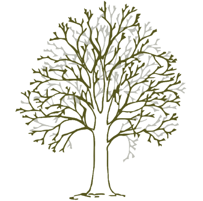 Crown care diagram showing selective branch removal