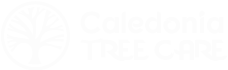 caledonia-tree-care-logo